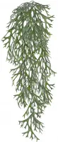 Стегхорн (Оленьи рога) куст ампельный (искусственный) длина 70 см