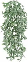 Стегхорн Хилии (Оленьи рога) куст ампельный (искусственный) длина 67 см