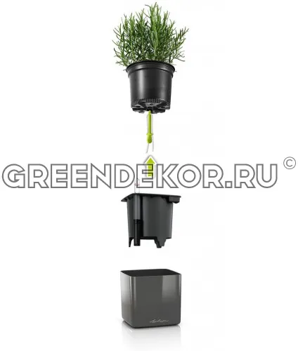 КАШПО LECHUZA CUBE GLOSSY 17 (ВИШНЕВЫЙ) фото 2