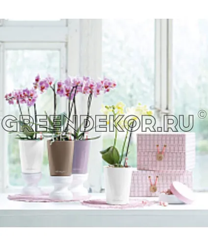 КАШПО LECHUZA MINI-DELTINI (КРАСНЫЙ) Диаметр 10см Высота 13см фото 8