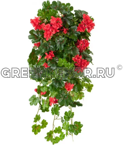 Герань ампельная красная (искусственная) длина 65 см