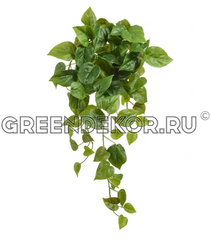 Филодендрон Сканденс ампельный (искусственный) длина 80 см фото 5
