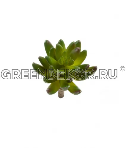 Суккулент Синокрассула зеленый (искусственный) высота 5 см фото 2
