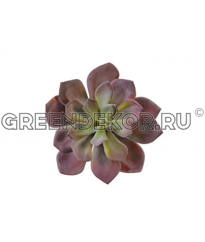 Суккулент Эхеверия Гиббифлора (искусственный) высота 15 см фото 2