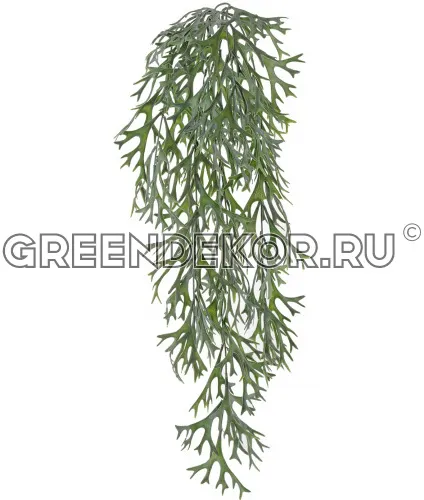 Стегхорн (Оленьи рога) куст ампельный (искусственный) длина 70 см
