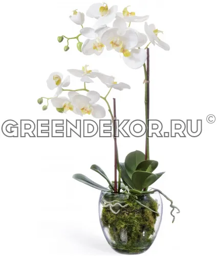 Орхидея Фаленопсис с мхом корнями землёй (искусственная) высота 60 см