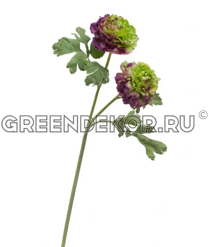 Ранункулус махровый зелено-фиолетовый (искусственный) высота 62 см