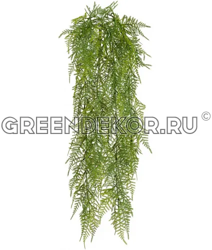 Аспарагус зеленый куст ампельный (искусственный) длина 65 см
