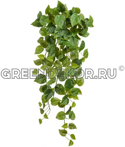 Филодендрон Сканденс ампельный (искусственный) длина 55 см