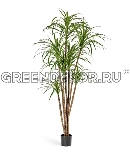 Драцена Маргината (искусственная) высота 120 см