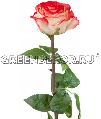 Роза Соло Нью большая кремовая с розовым (искусственная) высота 72 см