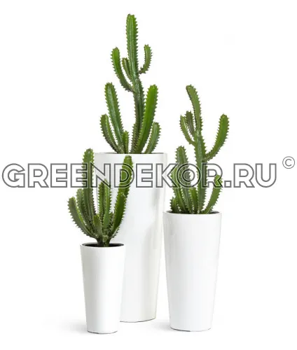 Кактус Цереус Стайл (искусственная) высота 65 см фото 5
