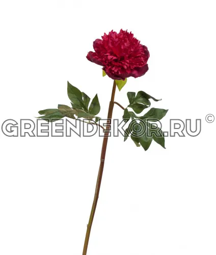 Пион махровый бордовый (искусственный) высота 60 см фото 2