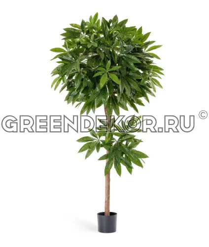 Пахира (искусственная) высота 180 см