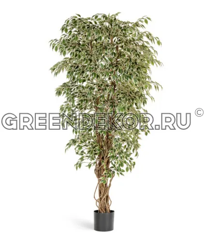 Гавайский фикус лиана пёстролистный (искусственный) высота 150 см