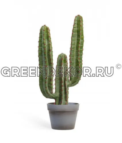 Кактус Цереус Мексиканский (искусственная) высота 200 см фото 4