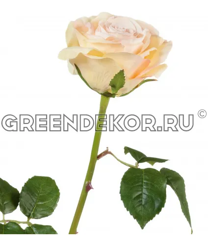 Роза Верди нежно-персиковая (искусственная) высота 58 см