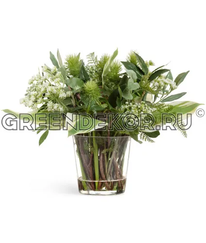 "Green Lifestyle" в стеклянной вазе с водой (искусственный) высота 34 см