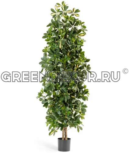 Шеффлера колонновидная пёстрая  (искусственная) высота 180 см