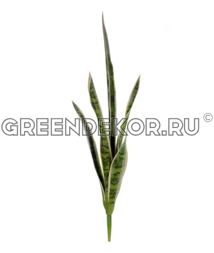 Сансевиерия куст (2 цвета) (искусственный) Высота 70 см фото 3
