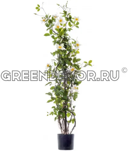 Клематис бело-розовый на лозе (искусственный) высота 150 см