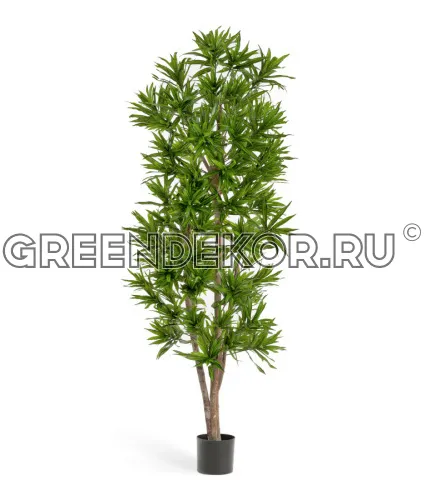 Драцена Рефлекса (искусственная) высота 180 см
