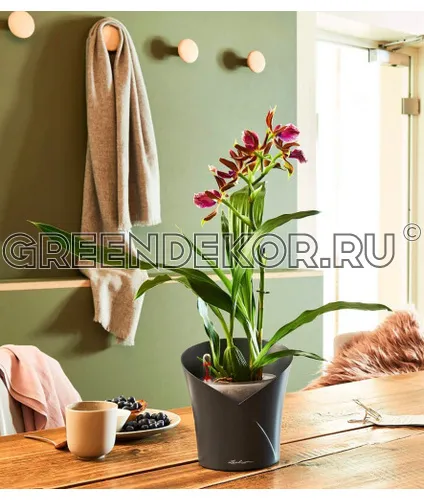 КАШПО LECHUZA ORCHIDEA (СЕРЫЙ) фото 3