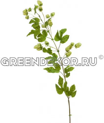 Хмель ветка светло-зеленая (искусственная) высота 120 см