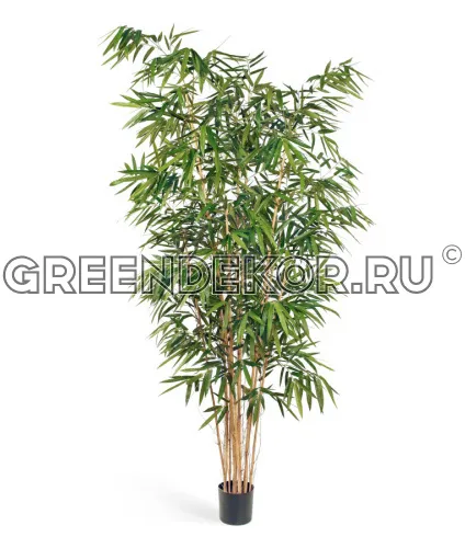 Бамбук Новый Биг Лиф (искусственный) высота 300 см
