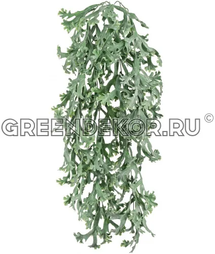 Стегхорн Хилии (Оленьи рога) куст ампельный (искусственный) длина 67 см