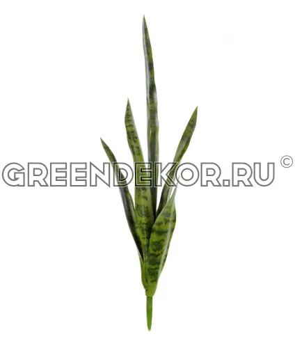 Сансевиерия куст (2 цвета) (искусственный) Высота 70 см фото 2