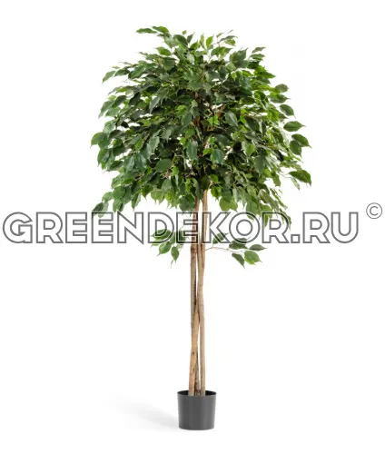 Фикус Бенджамина зонтичный (искусственный) высота 210 см