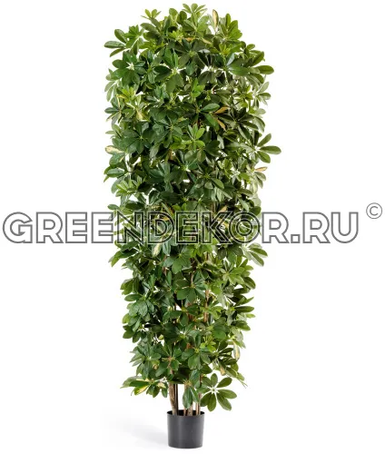 Шеффлера коллоновидная большая пёстрая  (искусственная) высота 195 см