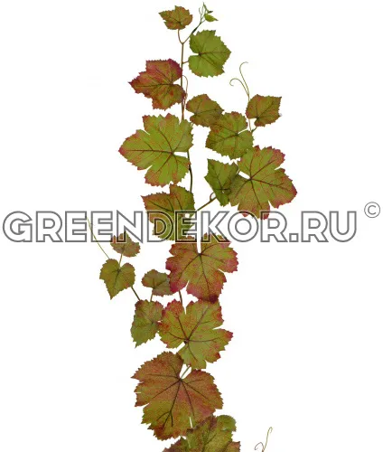 Виноградная гирлянда зелёная с прожилками бордо (искусственная) длина 230 см