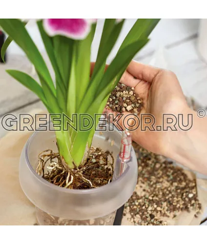 СУБСТРАТ LECHUZA ORCHIDPON ОБЪЕМ 3 ЛИТРА фото 4