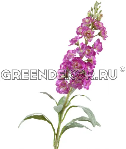 Маттиола (Левкой) светло-фиолетовая (искусственная) высота 81 см