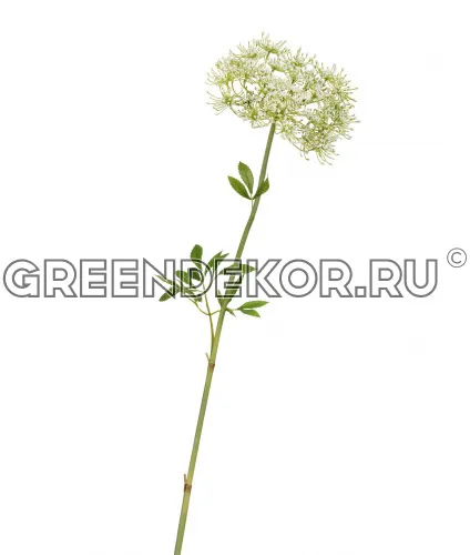 Анна королевская бело-зеленая (искусственная) высота 62 см