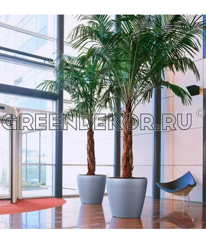 КАШПО LECHUZA CLASSICO (БЕЛЫЙ) Диаметр 50см Высота 47см фото 2