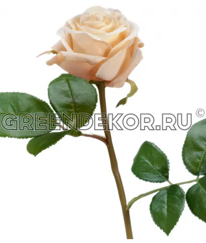 Роза Флорибунда Мидл крем (искусственная) высота 34 см