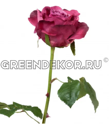 Роза Верди фуксия (искусственная) высота 58 см