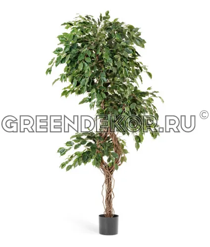 Фикус Бенджамина Селеста (искусственный) высота 180 см