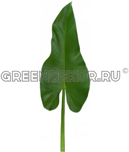 Лист Каллы (искусственный) высота 59 см
