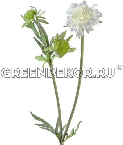 Скабиоза белая (искусственная) высота 68 см
