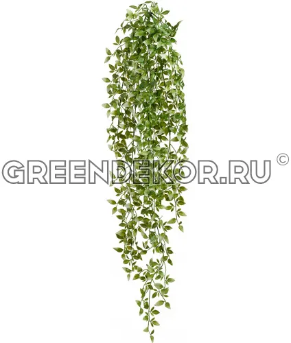 Традесканция бело-зеленая (искусственная) длина 100 см
