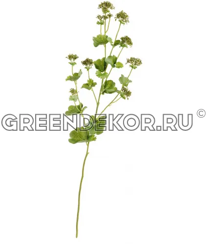Манжетка нежно-зеленая ветвь (искусственная) высота 73 см