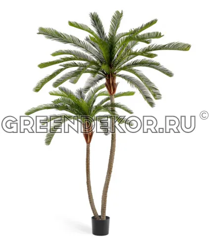 Пальма Цикас двухствольная (искусственная) высота 250 см