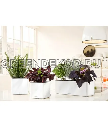 КАШПО LECHUZA CUBE GLOSSY TRIPLE (АНТРАЦИТОВЫЙ) фото 7
