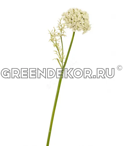 Анна Королевская белая (искусственная) высота 72 см