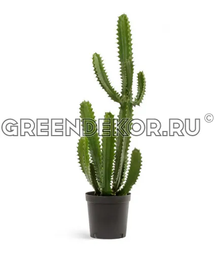 Кактус Цереус Стайл (искусственная) высота 96 см фото 3