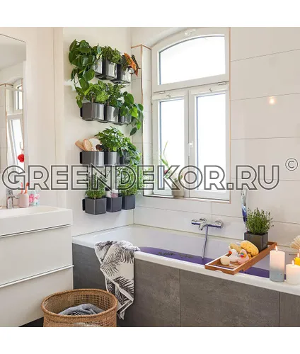 КАШПО LECHUZAGREEN WALL HOME KIT GLOSSY (КРАСНЫЙ)  фото 4